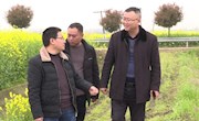 安乡：专家“出诊”田间地头 全力保障早稻生产